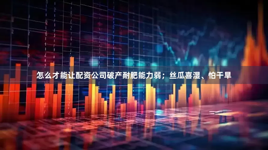 怎么才能让配资公司破产耐肥能力弱；丝瓜喜湿、怕干旱