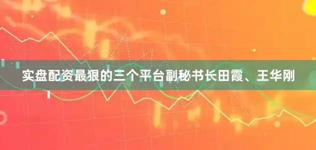 实盘配资最狠的三个平台副秘书长田霞、王华刚