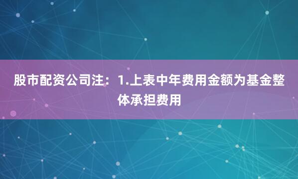 股市配资公司注：1.上表中年费用金额为基金整体承担费用